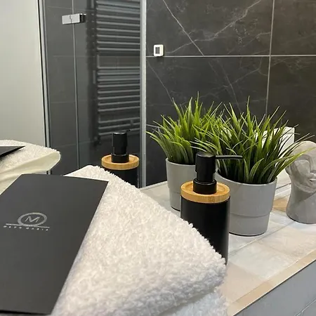 Apartament Mlyn Maria Na Ostrowie Tumskim W Centrum Wroclawia Dla 4 Osob Daire Wroclaw